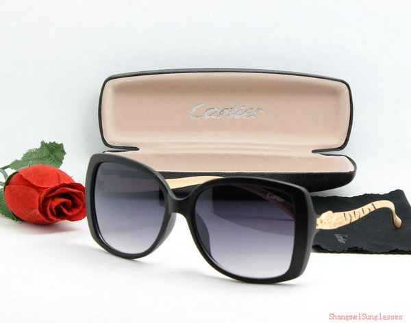 lunettes de soleil cartier enfant 7