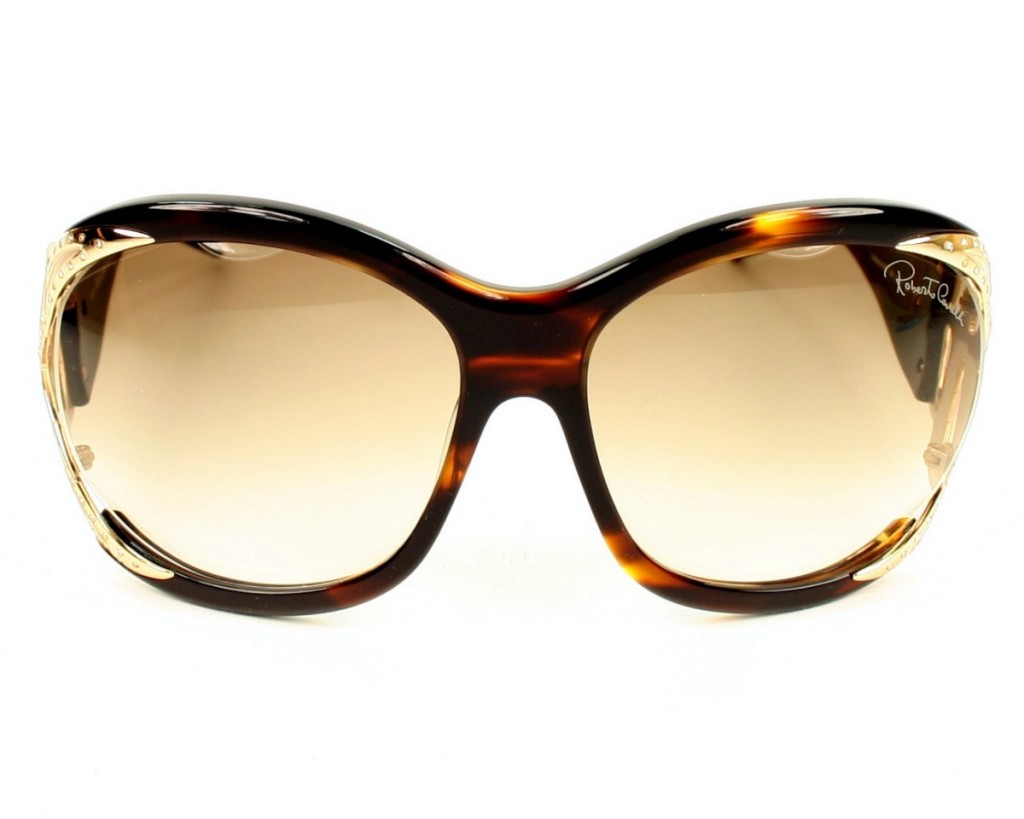lunettes roberto cavalli 2