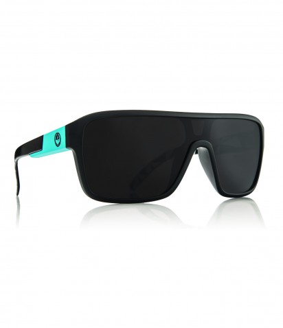 lunettes de soleil dragon 1