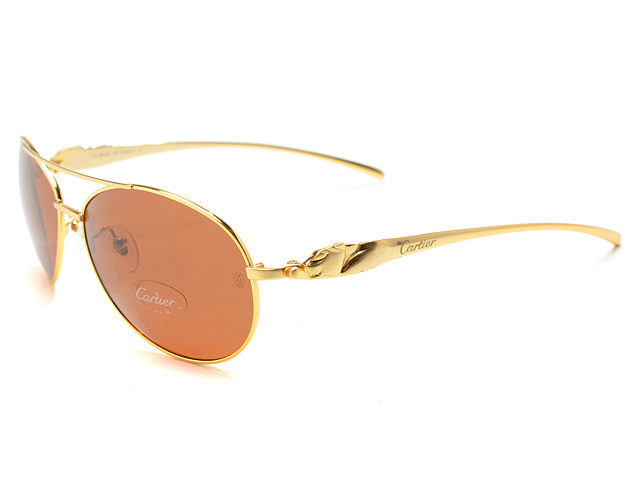 lunettes cartier homme 5