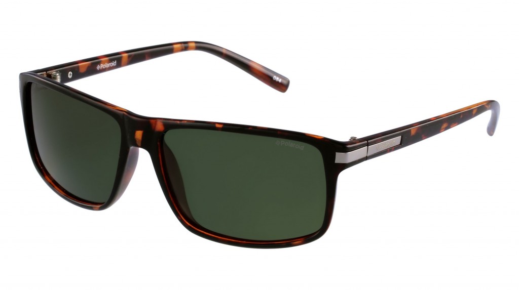 lunettes polaroid homme 2