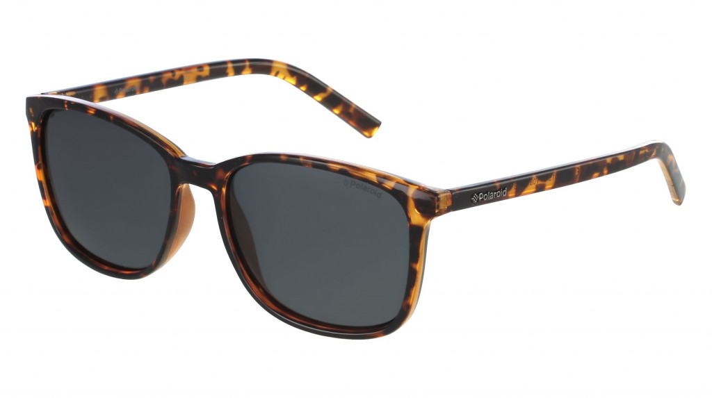 lunettes polaroid 6