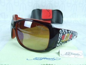 Aspect lunettes de soleil Ed Hardy homme